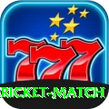 all cricket match Games VIP