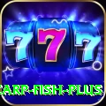 carp fish Master 2024
