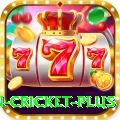 fastest ball in cricket Mobile Deluxe