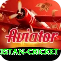 india pakistan cricket Slots Royal v2.3.1