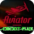 international cricket Mega PK v2.2.4