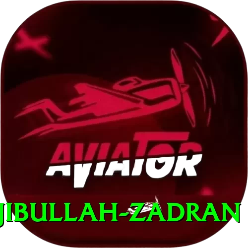 najibullah zadran - Real Money Pro - 2
