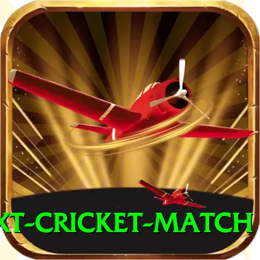 next cricket match Game Deluxe v1.1.4 - 2