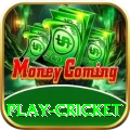 play cricket Plus PK v5.4.8