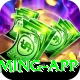 r789 VIP Gaming App