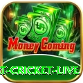 smart cricket live Gaming King