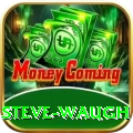 steve waugh - Gaming Mega