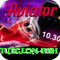 sturgeon fish - Casino Elite