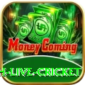 watch live cricket Live Prime v5.2.6
